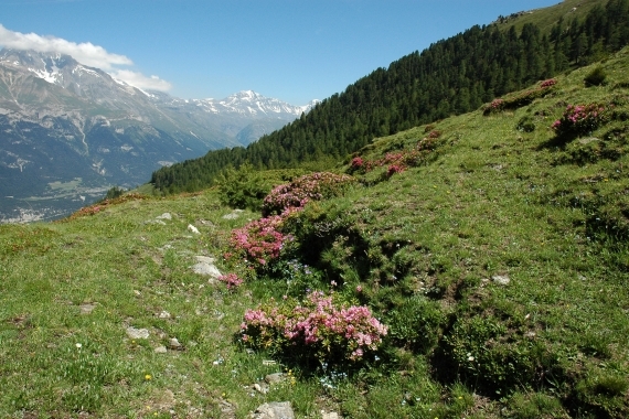 montagne